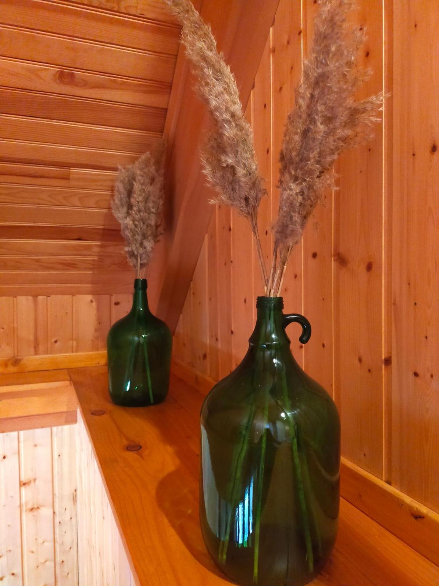 Gite Le Chalet Saintantheme / Praboure Εξωτερικό φωτογραφία