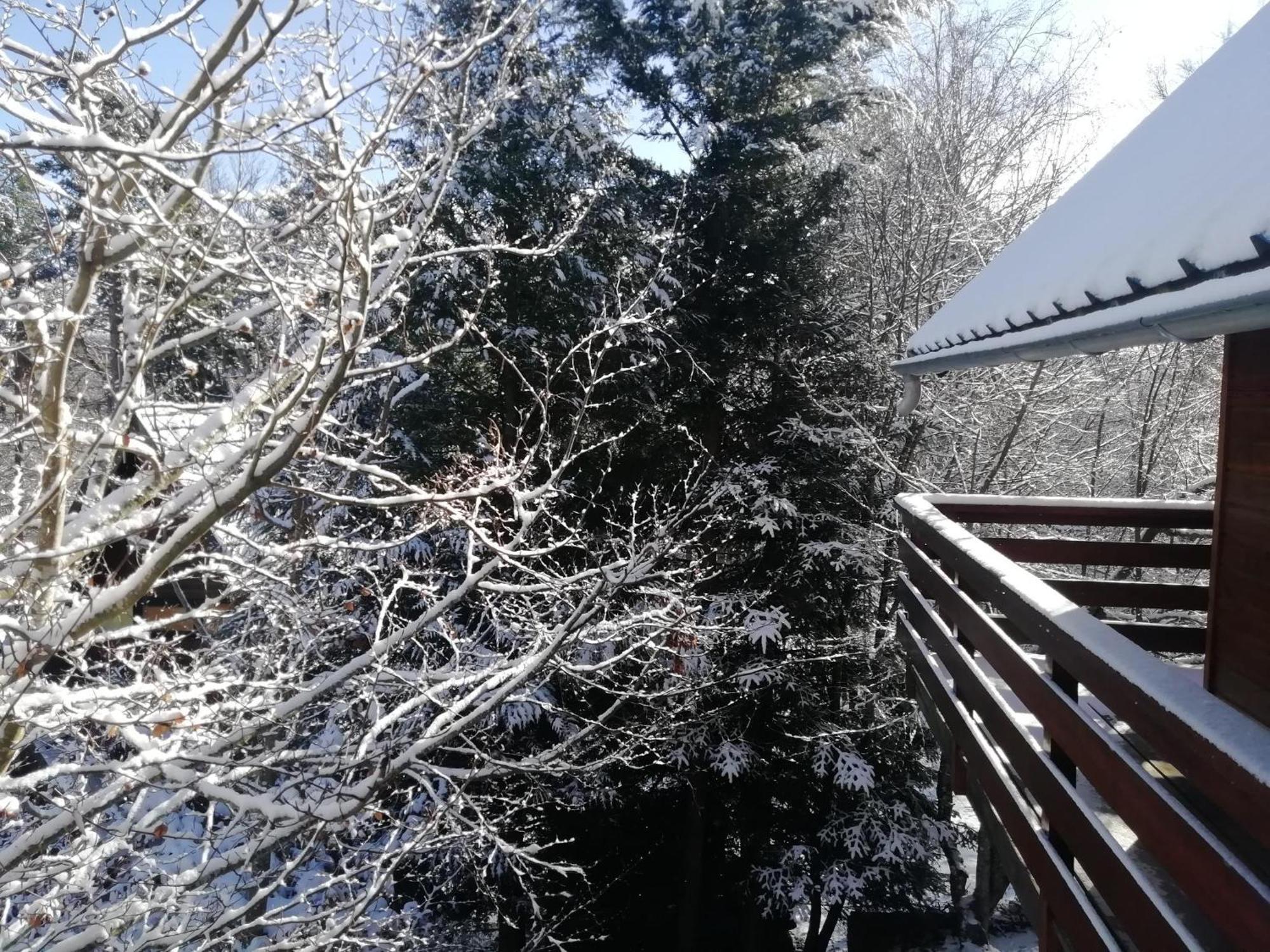 Gite Le Chalet Saintantheme / Praboure Εξωτερικό φωτογραφία